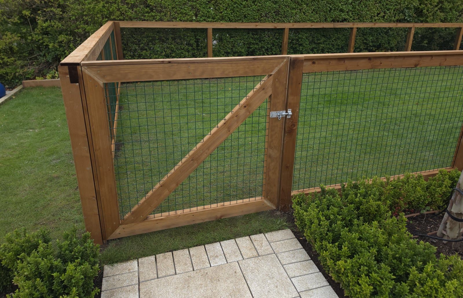 Timber gate with a diagonal brace and black mesh panels, set in a timber-framed mesh fence around a lawn, with a paved path and low box hedging in front